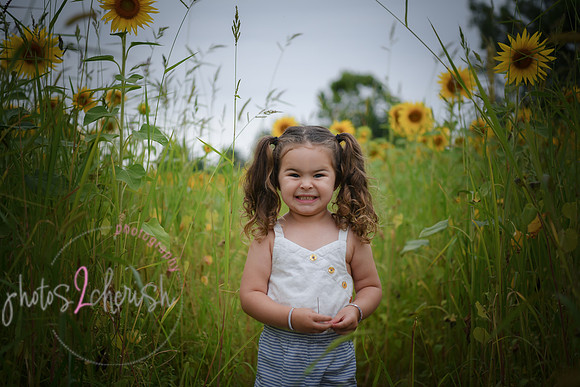 Sunflowers [addie] 005