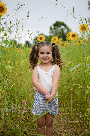 Sunflowers [addie] 006