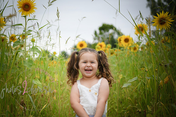 Sunflowers [addie] 008