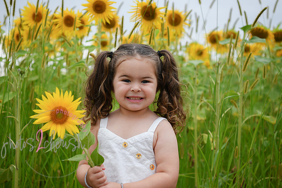 Sunflowers [addie] 012