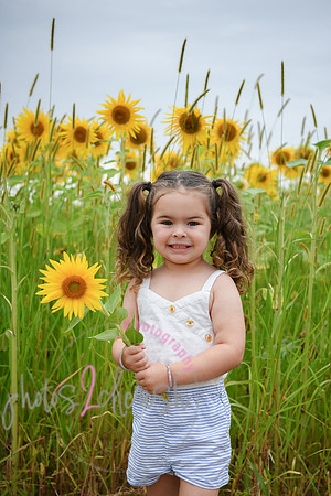 Sunflowers [addie] 013