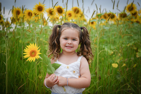 Sunflowers [addie] 024