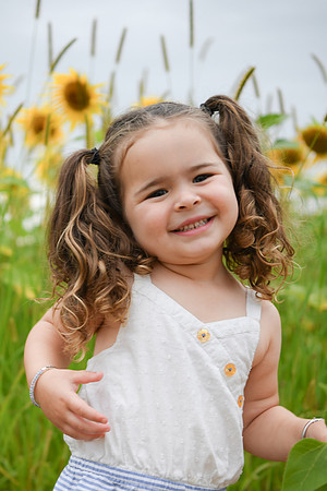 Sunflowers [addie] 026