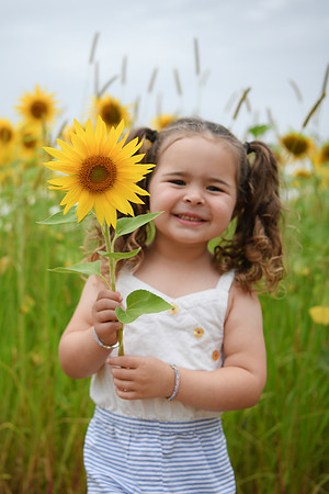 Sunflowers [addie] 029