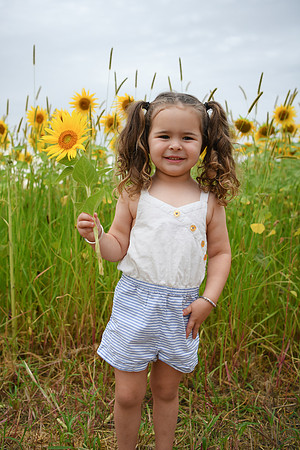 Sunflowers [addie] 032