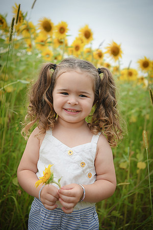 Sunflowers [addie] 063