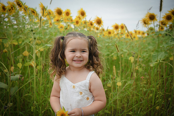 Sunflowers [addie] 065