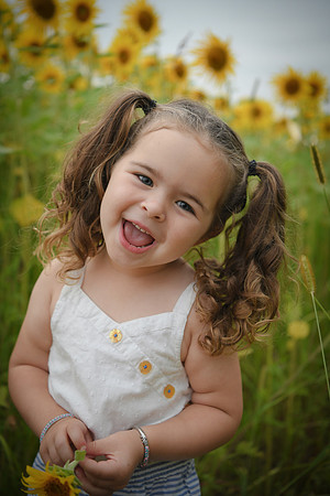 Sunflowers [addie] 062