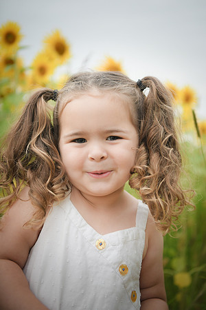 Sunflowers [addie] 044