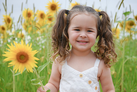 Sunflowers [addie] 034