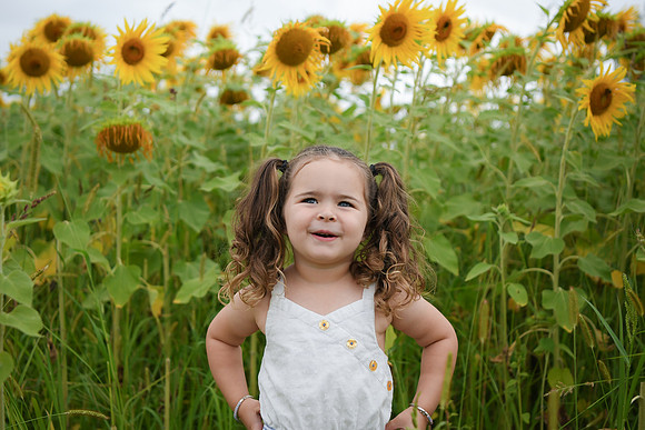 Sunflowers [addie] 001