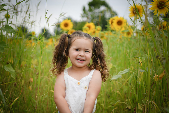 Sunflowers [addie] 007