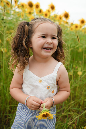 Sunflowers [addie] 074