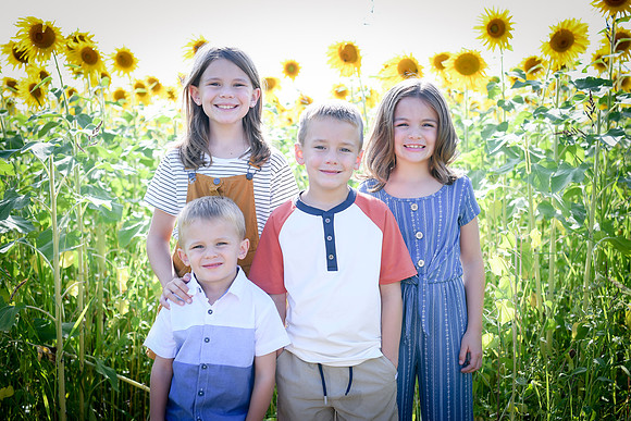 Sunflowers [Honsey] 06