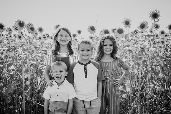 Sunflowers [Honsey] 08