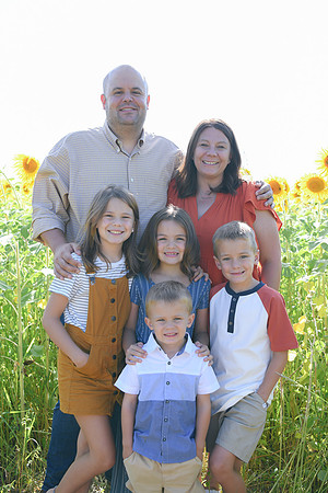 Sunflowers [Honsey] 13