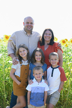 Sunflowers [Honsey] 14