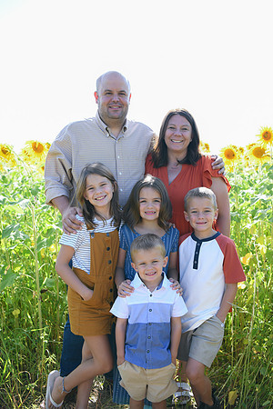 Sunflowers [Honsey] 16