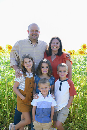 Sunflowers [Honsey] 17