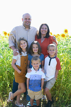 Sunflowers [Honsey] 18
