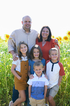 Sunflowers [Honsey] 20