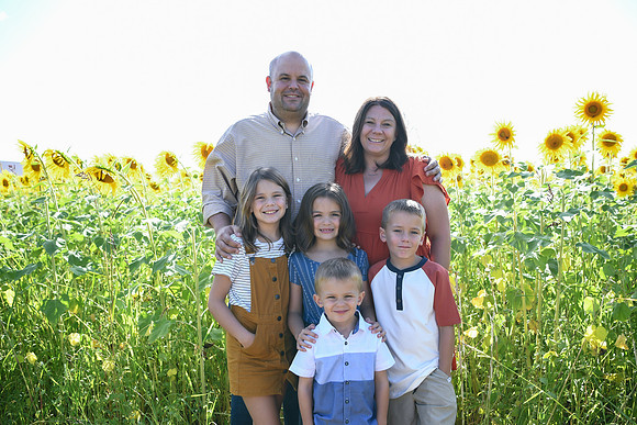 Sunflowers [Honsey] 24