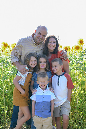 Sunflowers [Honsey] 25