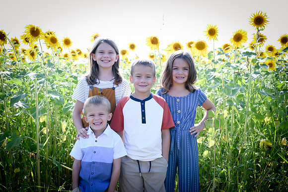 Sunflowers [Honsey] 33