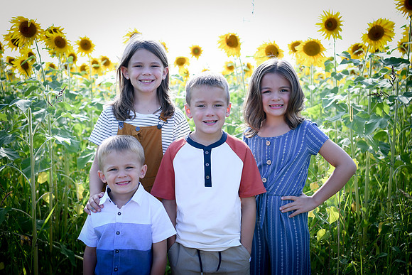 Sunflowers [Honsey] 34