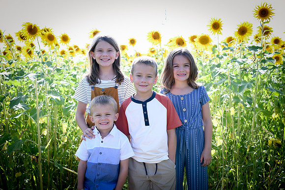 Sunflowers [Honsey] 31