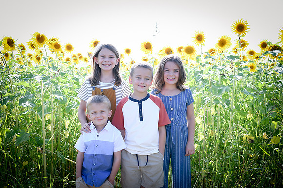 Sunflowers [Honsey] 32
