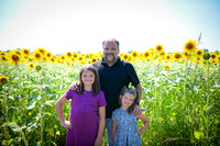 Sunflowers [Flagner] 016