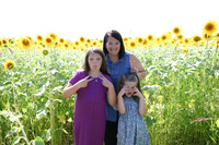Sunflowers [Flagner] 029