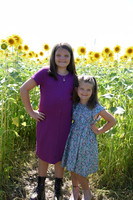 Sunflowers [Flagner] 032