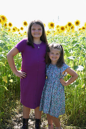 Sunflowers [Flagner] 031