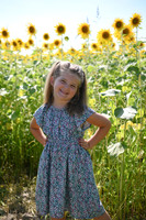 Sunflowers [Flagner] 041