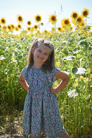 Sunflowers [Flagner] 041