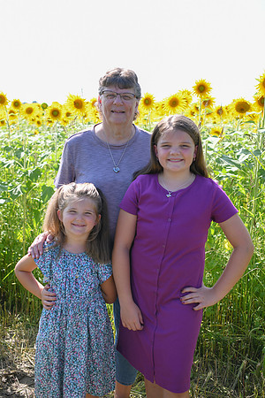 Sunflowers [Flagner] 071