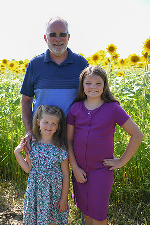 Sunflowers [Flagner] 073