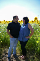 Sunflowers [Flagner] 079