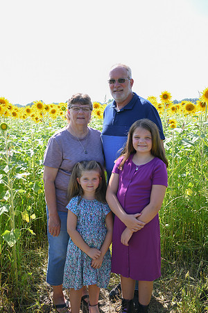 Sunflowers [Flagner] 062