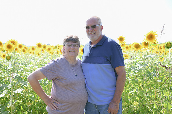 Sunflowers [Flagner] 089