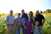 Sunflowers [Flagner] 058