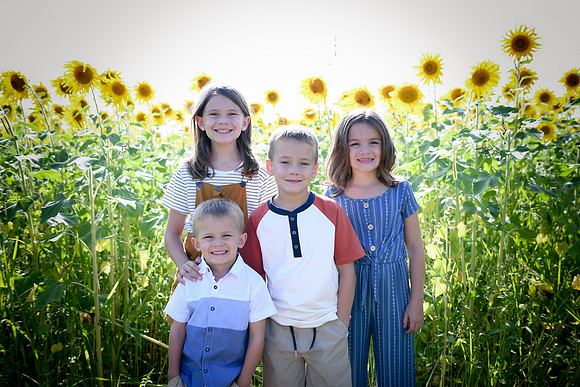 Sunflowers [Honsey] 04
