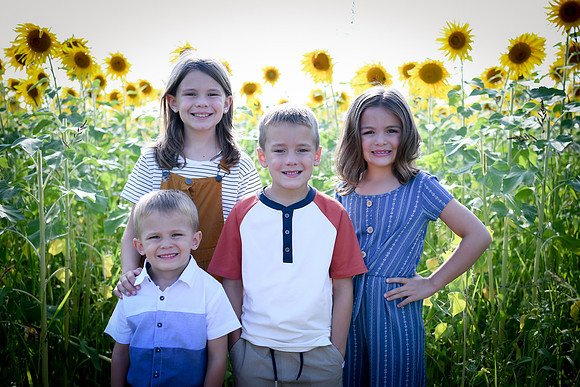 Sunflowers [Honsey] 09