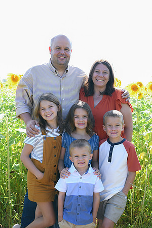 Sunflowers [Honsey] 14