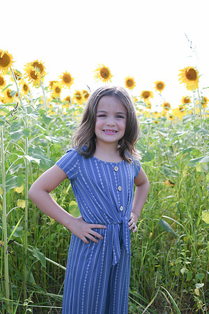 Sunflowers [Honsey] 42