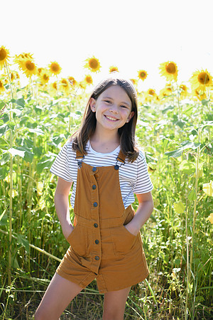 Sunflowers [Honsey] 52