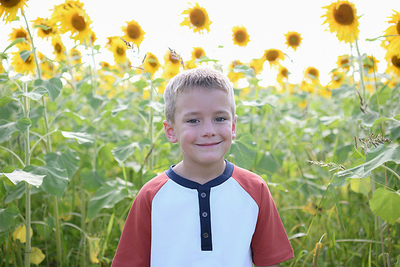 Sunflowers [Honsey] 81