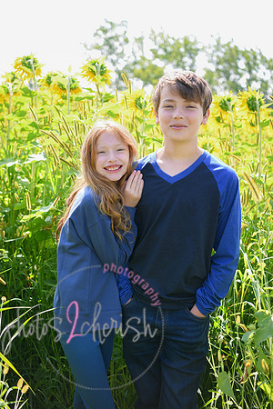 Sunflowers [VanHo] 40